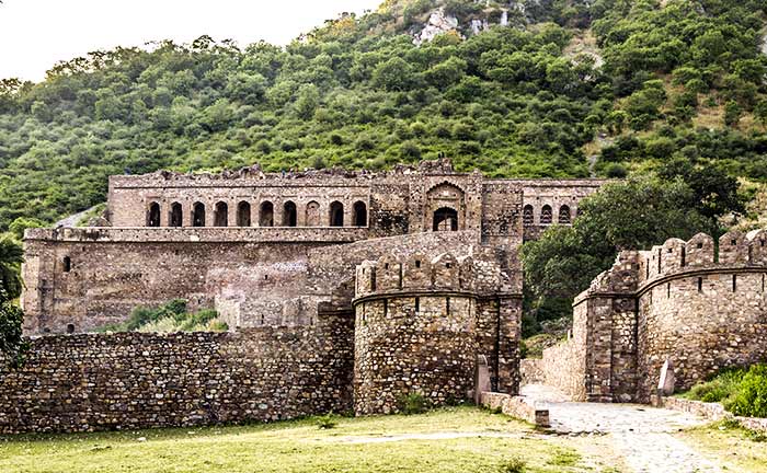 03 Days Jaipur Sariska Tour